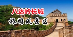 艹逼视频网中国北京-八达岭长城旅游风景区
